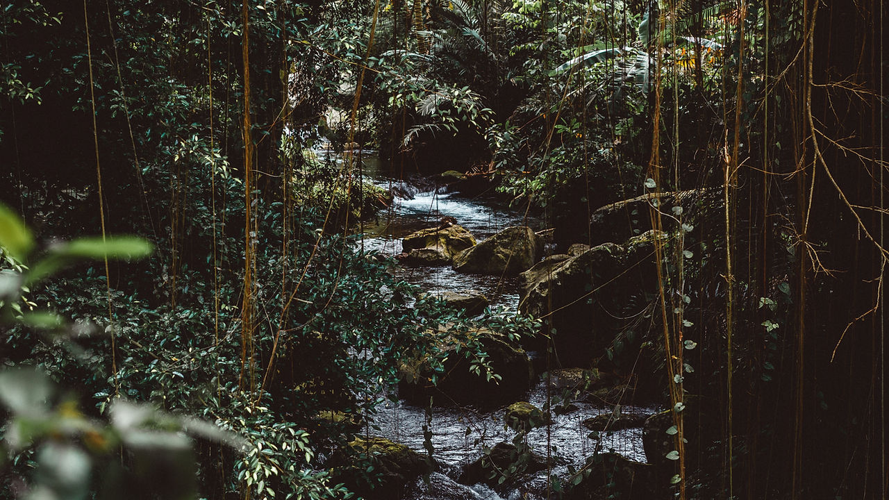 Art Exhibition: The Road to Freedom Is Bordered with Sunflowers photo